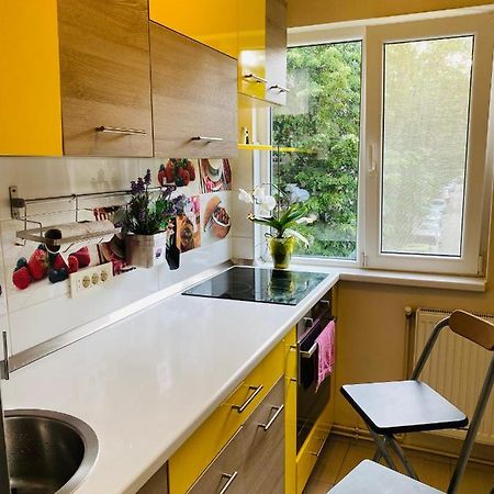 City Center Apartment Timişoara Eksteriør bilde