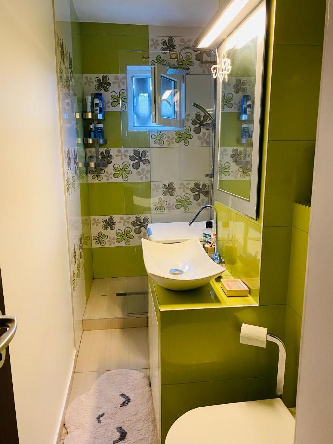 City Center Apartment Timişoara Eksteriør bilde