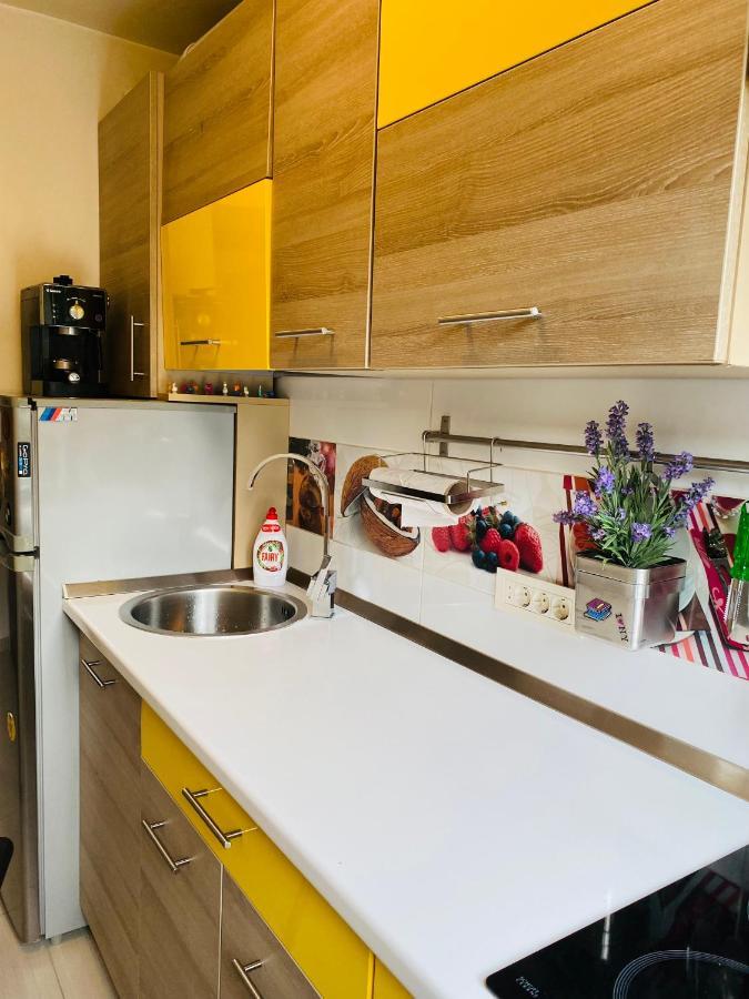 City Center Apartment Timişoara Eksteriør bilde